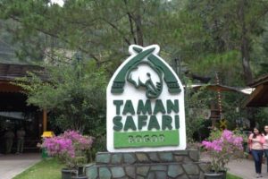 Taman safari Bogor jadi salah satu kebun binatang terbaik di Indonesia